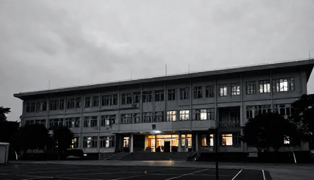 流量获取中的网站维护适用情况与限制